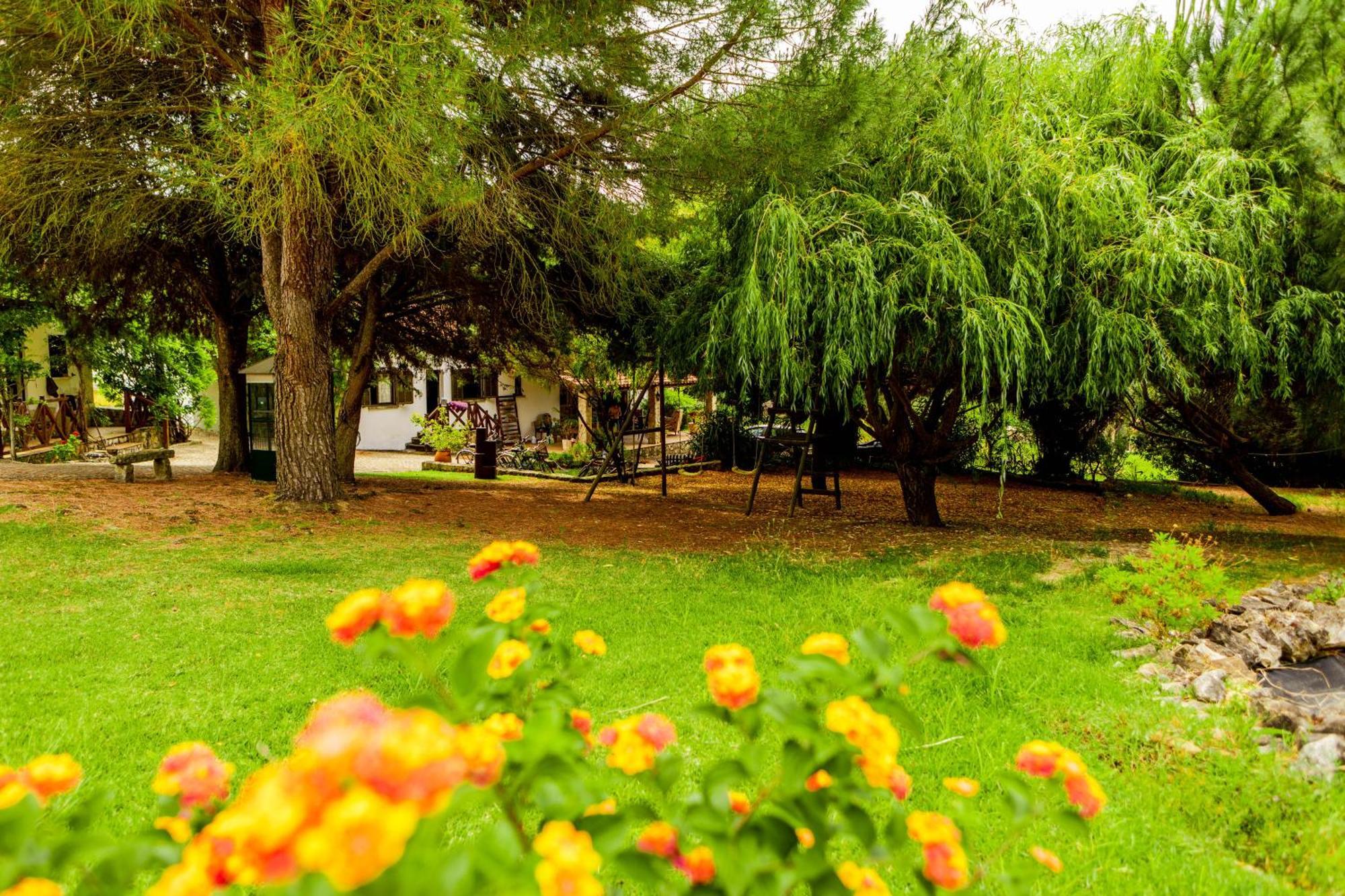 Quinta O Refugio Villa Azambuja Buitenkant foto