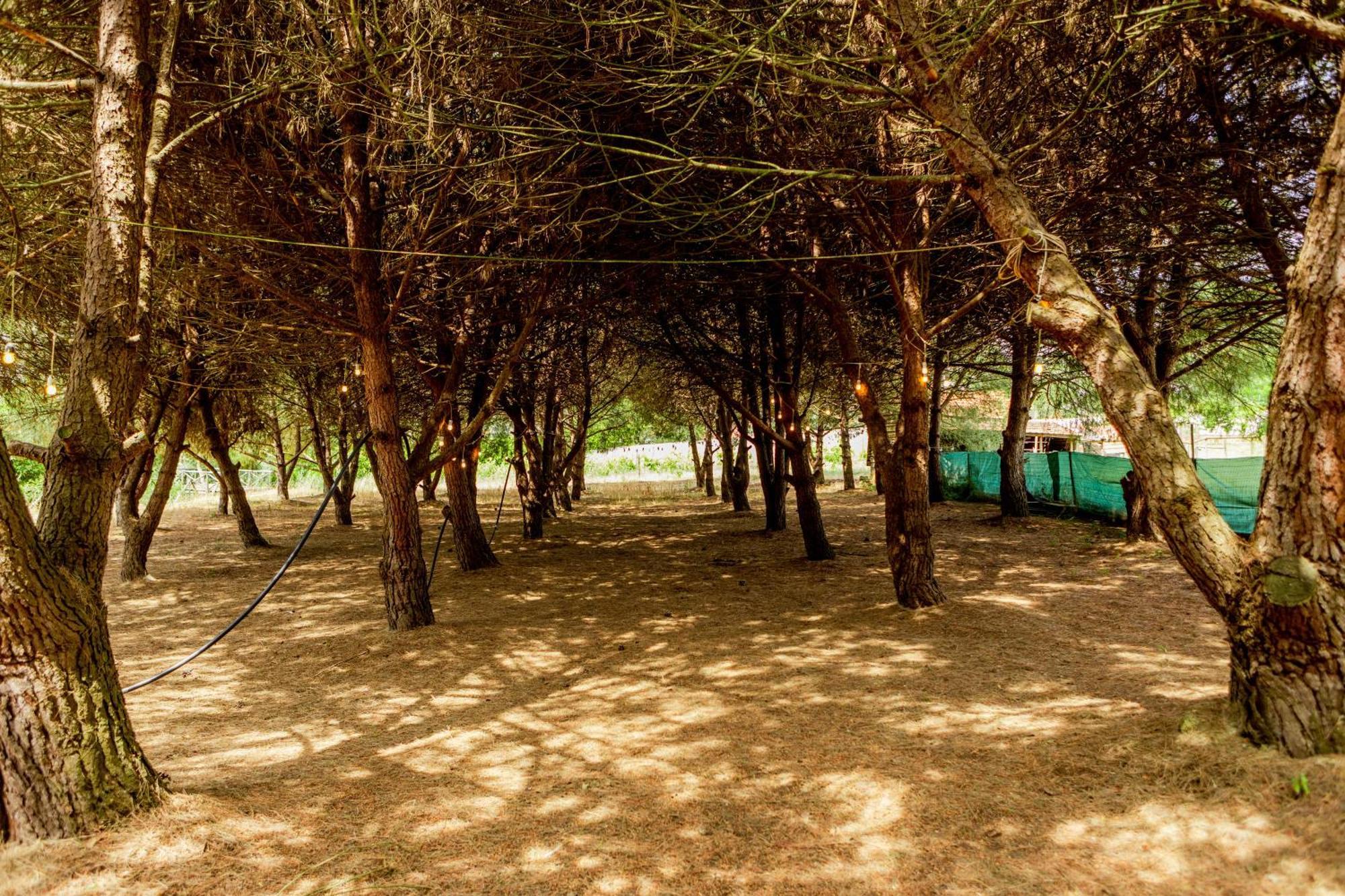 Quinta O Refugio Villa Azambuja Buitenkant foto