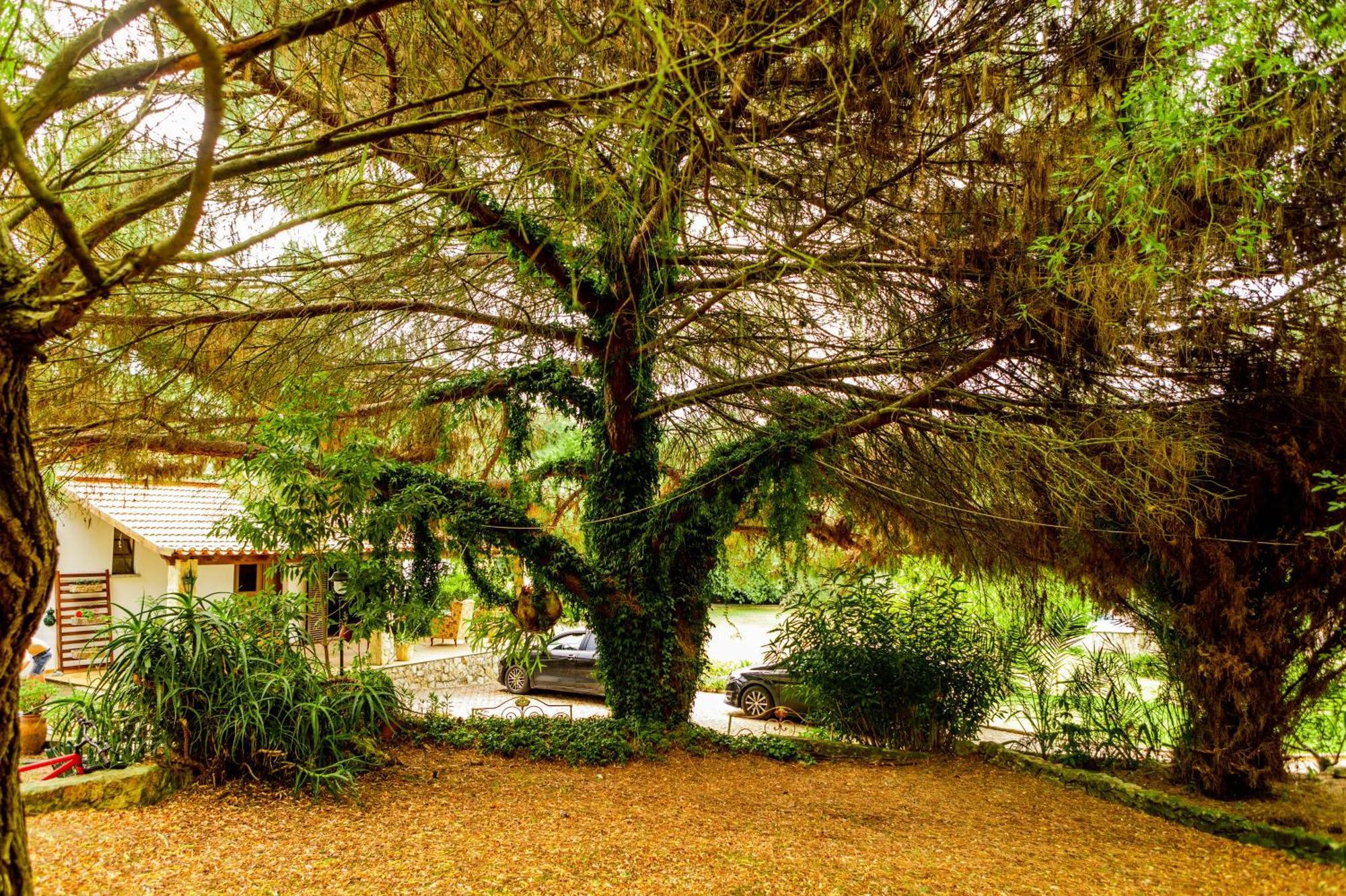 Quinta O Refugio Villa Azambuja Buitenkant foto